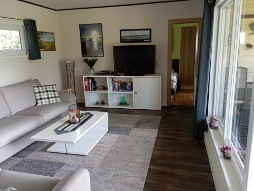 a living room with a couch and a tv at Ferienhaus "Op'n Barg" in Holzbunge