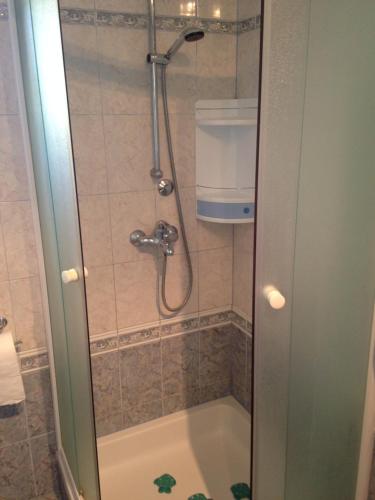 a shower in a bathroom with a tub at Apartments Hrboka in Žman