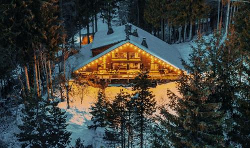 Large peaceful chalet for mountain adventures! Perfect for Flégère and Grand Montet skiing