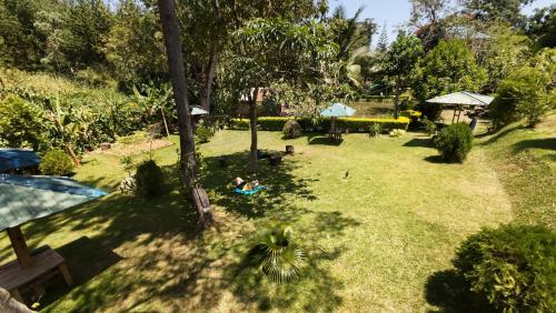 an overhead view of a backyard with a person laying on the grass at Kakakuona Resort in Lushoto