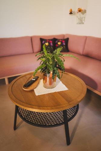 a coffee table with a plant on top of it at Ampeli Villas in Néa Artáki