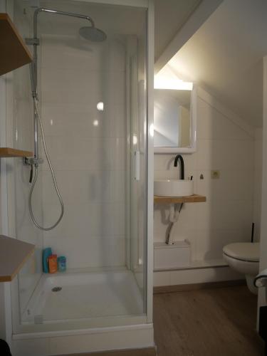 ein Badezimmer mit Dusche und Waschbecken in der Unterkunft Seastar in Bredene