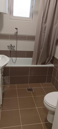 a bathroom with a shower and a toilet and a sink at Apartman Danica Bijeljina in Bijeljina