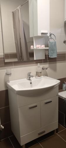 a bathroom with a white sink and a mirror at Apartman Danica Bijeljina in Bijeljina