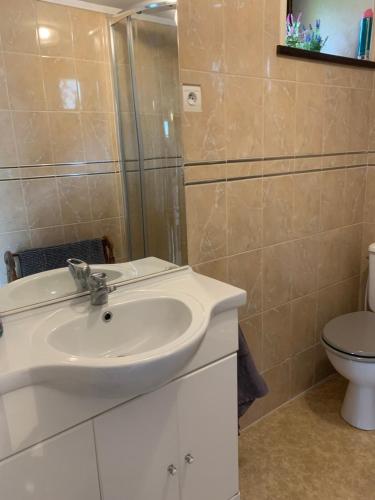 une salle de bain avec un lavabo et des toilettes dans l'établissement Countryside Retreat in Brittany 2 Bedrooms Sleeps 4 Pet Friendly Heated Swimming Pool Free Wifi, à Plouguenast Langast