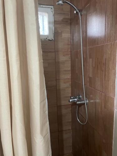 パラナにあるDepto Jose Hernandez tres dormitoriosのバスルーム(シャワー、シャワーカーテン付)が備わります。