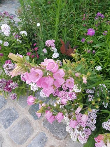 a bunch of pink flowers in a garden at Depuis la verrière in Bleury
