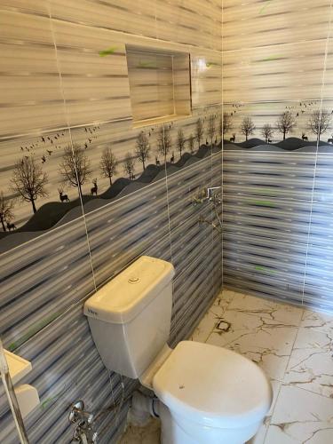 Ein Badezimmer in der Unterkunft hooly nubian