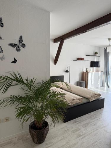 a bedroom with a bed and a potted plant at Ferienwohnung im Stadtkern Großbottwar in Großbottwar