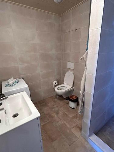 Apartmány Airoloにあるバスルーム