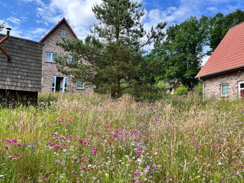 a field of flowers in front of a house at Heidezauber in Bispingen
