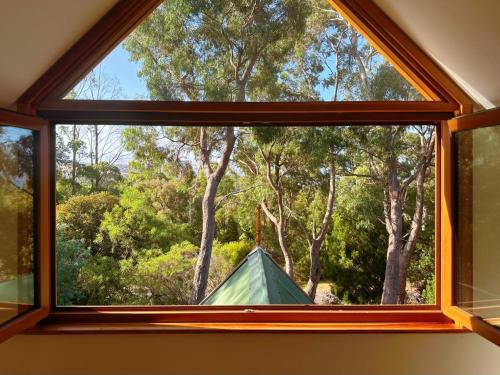 Jardín al aire libre en Snug Sanctuary - A gem in the forest 20 min to CBD