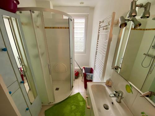 une salle de bain avec douche et lavabo dans l'établissement La petite Garzette - Appartement Jardin Centre Ville Concarneau, à Concarneau