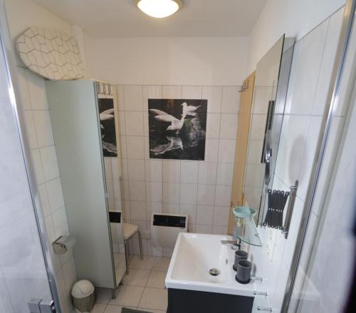 a bathroom with a sink and a mirror at FLOATING HOUSES - "schwimmende Ferienhäuser" - Haus 3 in Kröslin