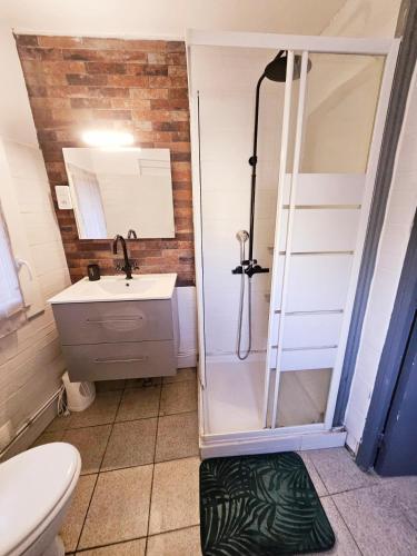 une salle de bain avec une douche, un lavabo et des toilettes dans l'établissement Charmant T2 des bourgades, à Caumont-sur-Durance