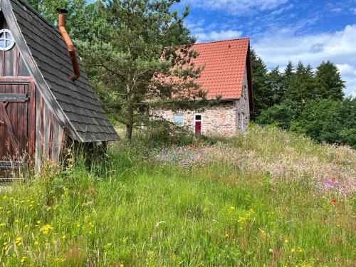 an old barn in a field of grass and flowers at Bispinger-Heidezauber-Haus-Felsenbirne in Bispingen