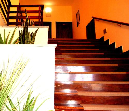 a group of stairs in a room with plants at Borgo Nuovo San Martino in Ambra