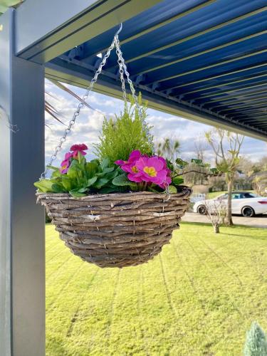 a hanging basket with flowers in it hanging from a porch at Seaview Cottage on the Island in Millbay