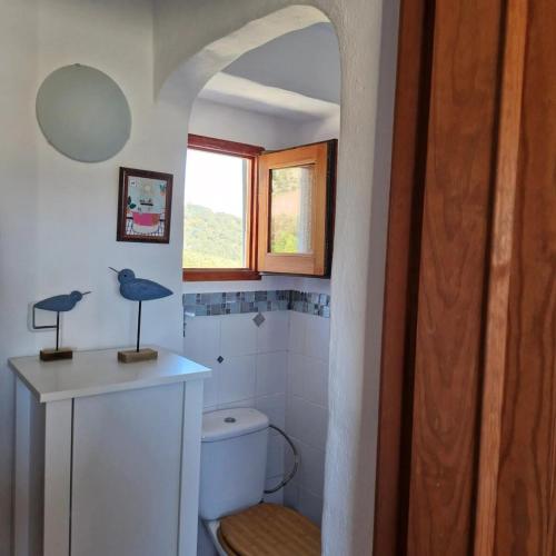 a small bathroom with a toilet and a window at Casa Araflo in Cortijada Los Chorreros