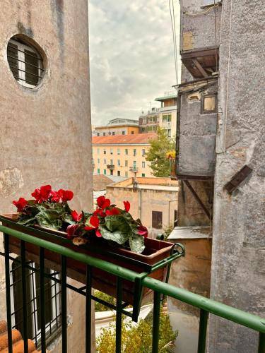 Bella Trastevere