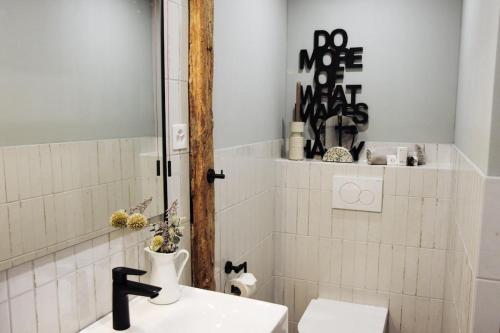 a bathroom with a sink and a toilet and a mirror at Kaffeegasse 11 - Holiday home with heart on Lake Constance in Altnau