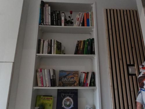 Perpustakaan di rumah tamu ini