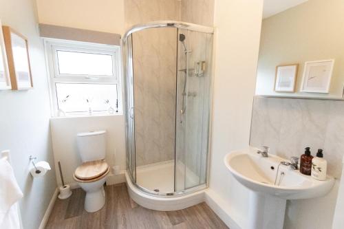 a bathroom with a shower and a toilet and a sink at Poole Park House in Poole