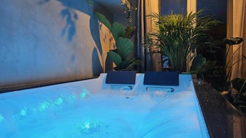 une piscine avec des chaises bleues et des plantes en pot dans l'établissement La Suite Chêne, à Montgé