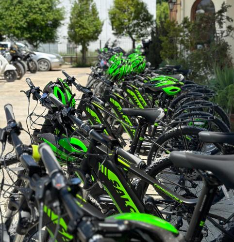 a bunch of bikes lined up in a row at Rritja e Koranit in Pogradec