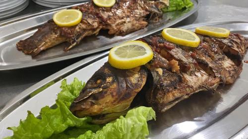 a plate of food with fish with lemon slices on it at Rritja e Koranit in Pogradec