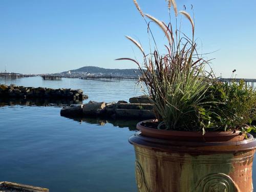 Lemodernlounge, hébergement cosy moderne spacieux