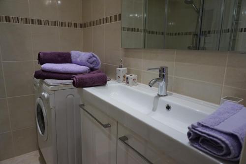 a bathroom with a sink and a washing machine at Studio Carré d'Or, à 50 m de la plage et du Négresco in Nice