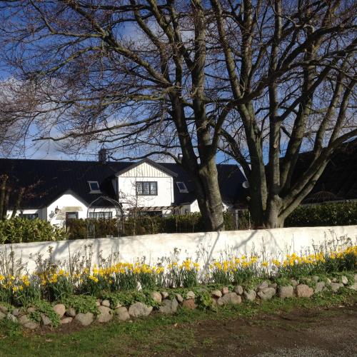 a white house with trees and flowers in a yard at Arnhög Farm in Borrby