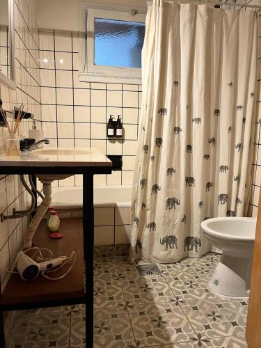 a bathroom with a shower curtain and a toilet at Peonía Tempo in Esquel