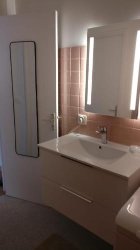 une salle de bain avec un lavabo blanc et un miroir dans l'établissement Your 28 m Studio Near Paris Modern Convenient and Affordable, à Fontenay-aux-Roses