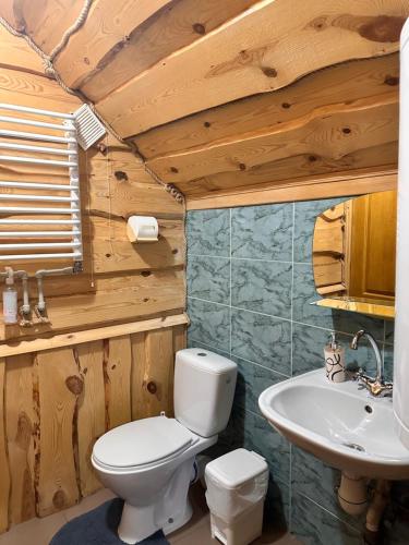 a bathroom with a toilet and a sink at Kipreya in Yaremche