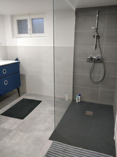a bathroom with a shower with a glass door at Le Choizel in Corps-Nuds