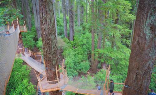 Billede fra billedgalleriet på Pacific Seaside House by Pebble Beach & Redwoods i Crescent City
