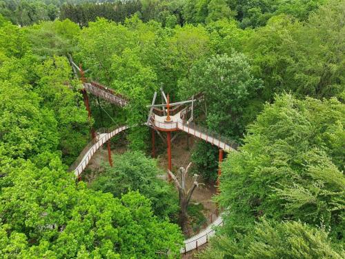 an overhead view of a wooden bridge in a forest at Dreiurtshof in Remplin