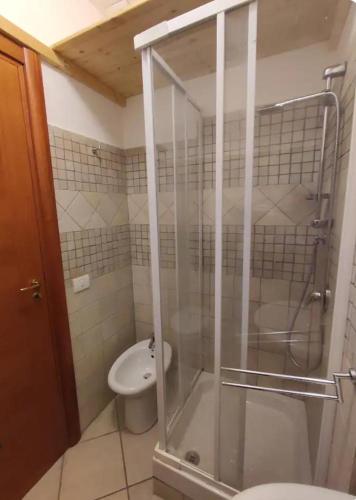 Parrot Room - Camera a Roma con bagno privato