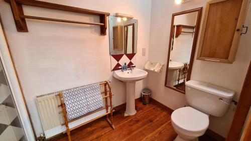 a small bathroom with a toilet and a sink at The Old Mill, Argideen River Lodges in Timoleague