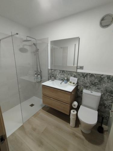 a bathroom with a toilet and a sink and a shower at Quirós Villa Tranquila de Salcedo 1 in La Villa