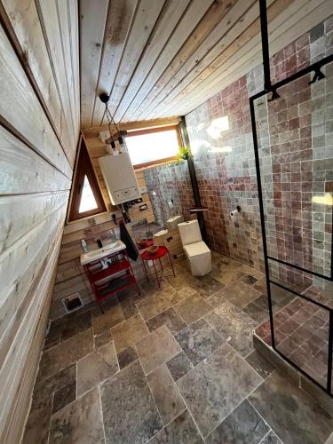a bathroom with a shower and a sink and a toilet at Escaper at Nereju Star Place in Carşocheşti