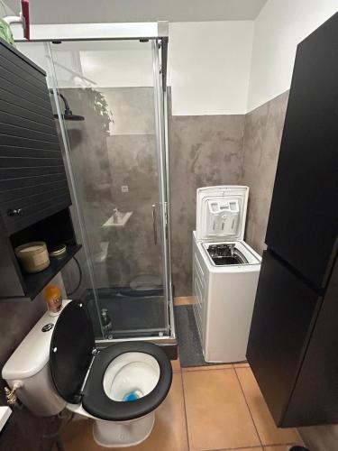 La salle de bains est pourvue de toilettes et d'une douche en verre. dans l'établissement T2 au cœur de Valbonne Village, à Valbonne