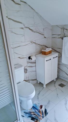 a bathroom with a toilet and a marble wall at TEXAS in Timişoara