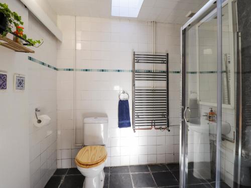 a bathroom with a toilet and a shower at Milltown House in Turriff