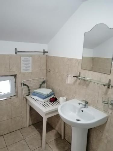 a bathroom with a sink and a mirror at Casa Nobilis in Gura Humorului