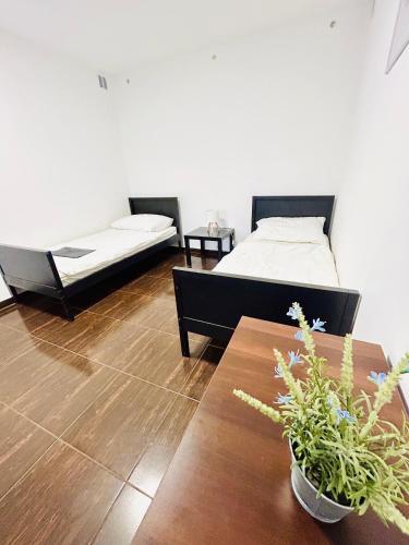 a room with two beds and a table with a bed at Villa Apartments with Free Parking Prague 5 in Prague