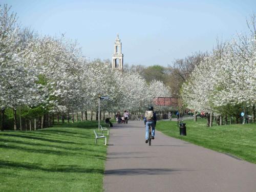 a person riding a bike down a path in a park with trees at Free Parking 4 Beds Flat 15 min train to Victoria London Bridge St Paul Cathedral in London