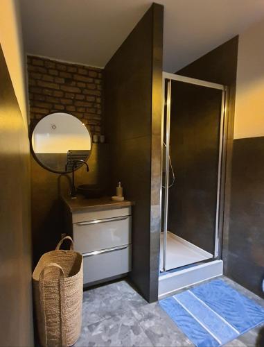 a bathroom with a shower and a mirror at Apartament blu in Piece